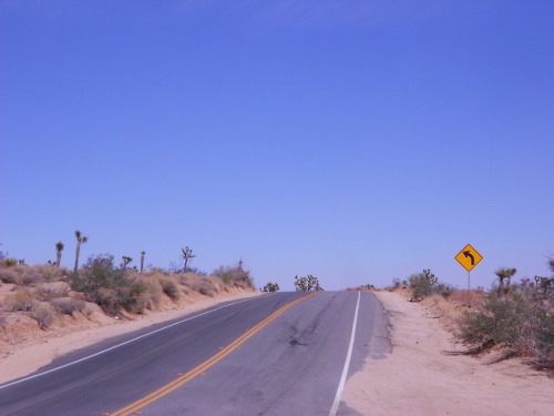 desert road