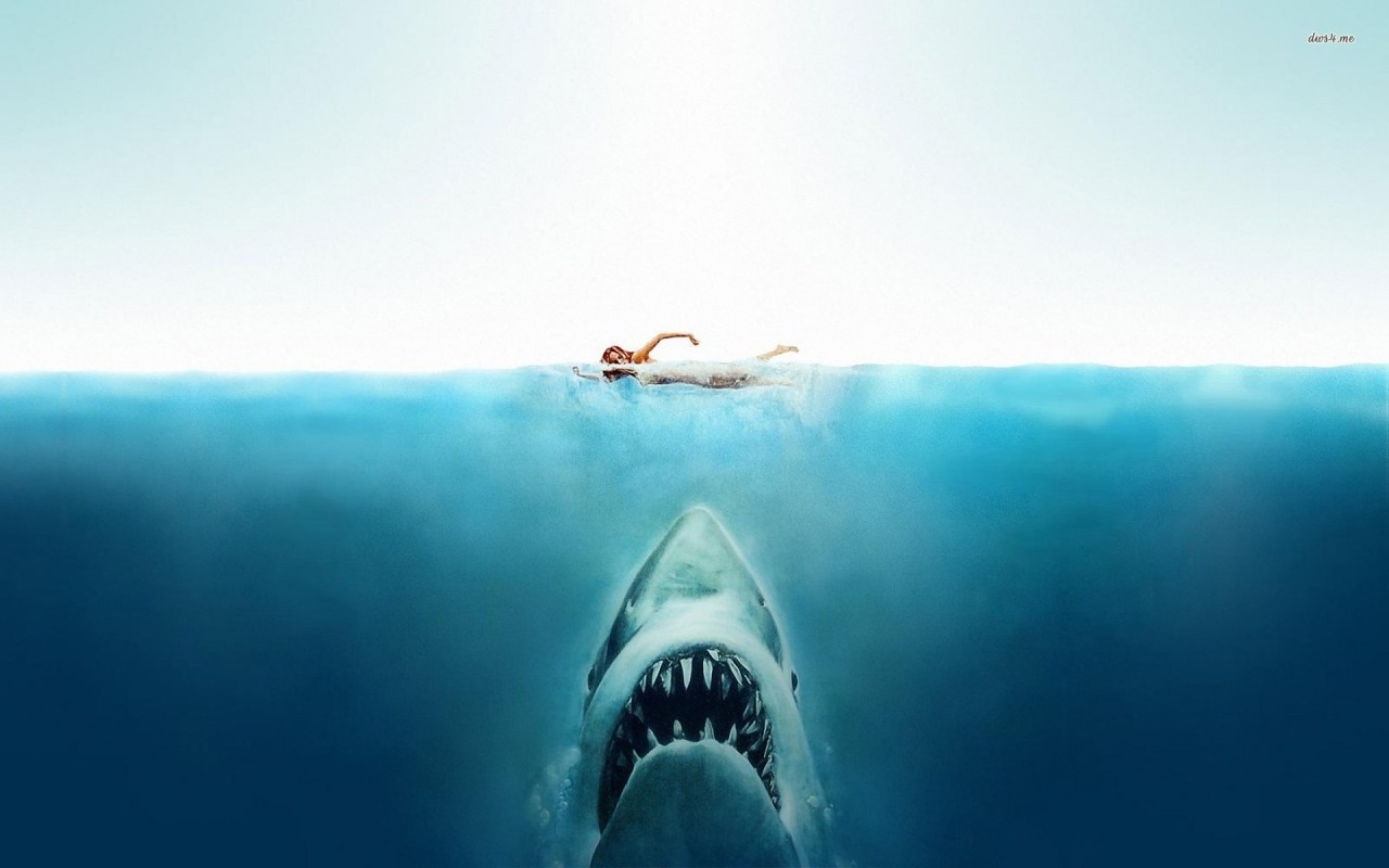 fromdirectorstevenspielberg:
“ Author Andrew David Barker has put together a short story based around the events of Jaws called The Fin.
You can download it from Amazon and if you enjoy it, you can follow him on Twitter or check out his other work,...