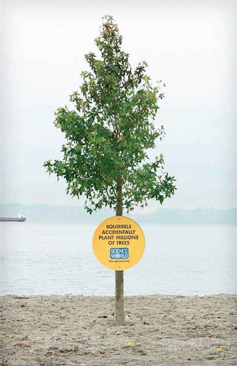 leanaisnotabanana:  The (long overdue) part 2 to my other post Rethink, Science World is well-known in Canada for award-winning and eye catching advertisements to educate the public. 