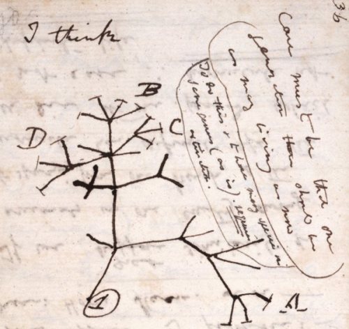 The Tree of Life: Expanding Darwin&rsquo;s LegacyCharles Darwin first introduced the concept of the 