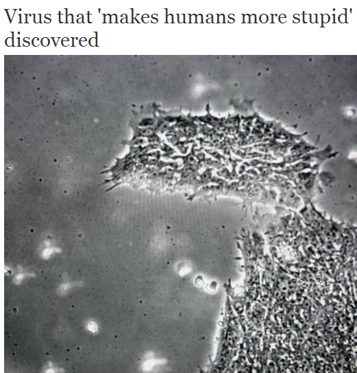thinksquad:  A virus that infects human brains and makes us more stupid has been