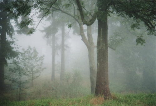 englishsnow:   Michael Päßler      