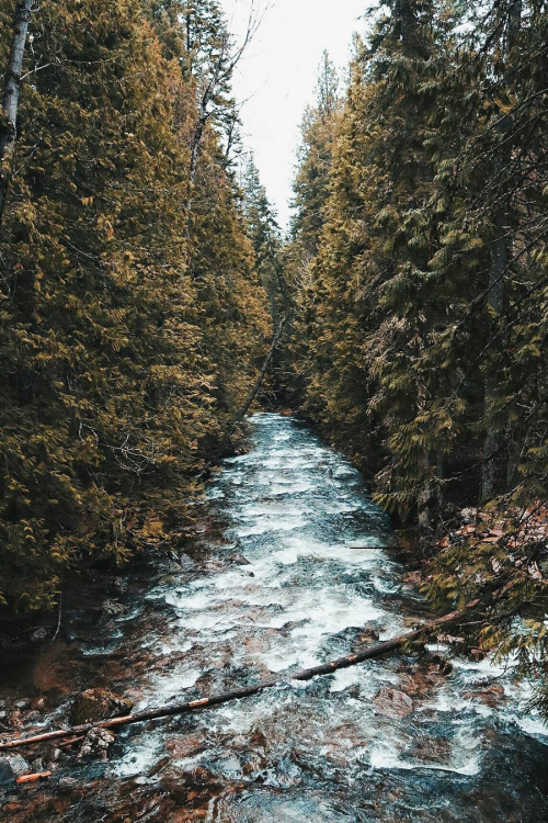 abovearth - Bonners Ferry, Idaho by Jacob J. Guy