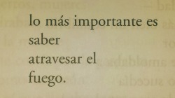 eljujeniodeletras:  Charles Bukowski