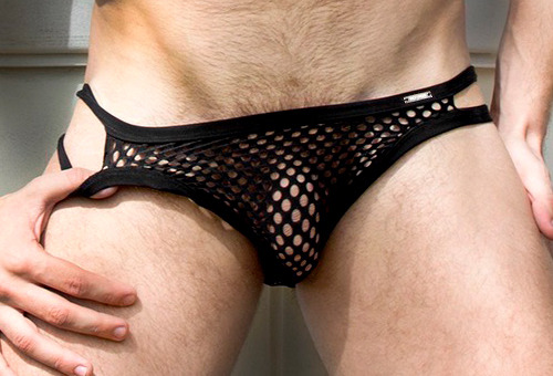 Dedicated Follower of Bulges