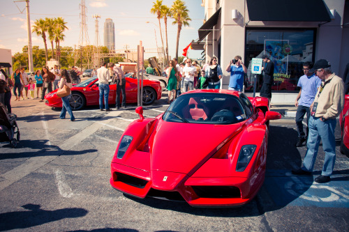 Enzo