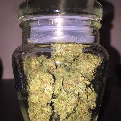 ganjuana:  My sexy new jar of #nugs #weed