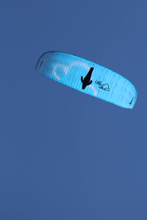 Westbury White Horse, Wiltshire, England. 23rd August 2014.