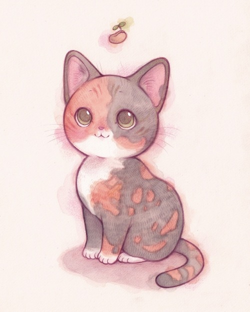 foreversoftcore: Cat Portraits by Lindsay Campbell