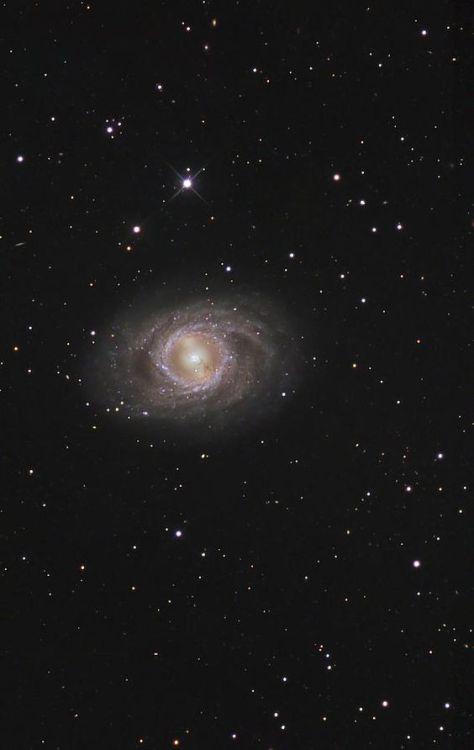 Messier 95, A Barred Spiral Galaxy by R Jay GaBany