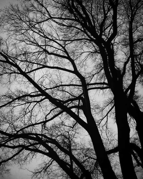 #afternoonrun #bwphoto #blackandwhitephotography #bwphoto #blackandwhite #asheville #avlncbw #bryanp