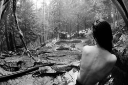 ratpackinsavage:  Mineral Bath, St Leon Hot Springs, Revelstoke, BC Sean Doucet Photo 