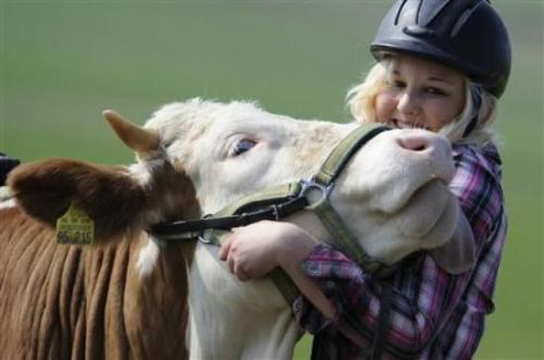 ninjamooseofthemist:ninjamooseofthemist:tHIS GERMAN GIRL WANTED A HORSE BUT HER PARENTS SAID NO SO S