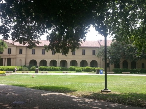opalborn:LSU’s quad and environs, featuring a fountain I read on a lot because I am actually B