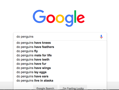If only penguins lived in Alaska…. 