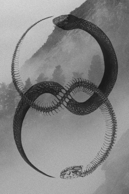 Tangled On A Razor Wire