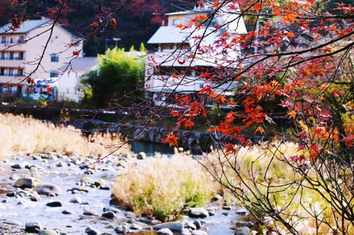 tokyogems:strolling around hakone.箱根でぶらぶら。