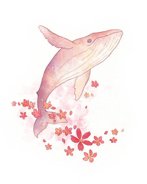A bunch of flowery whales and stuff… for no reasonyou could say it’s pot pourri porpoise with