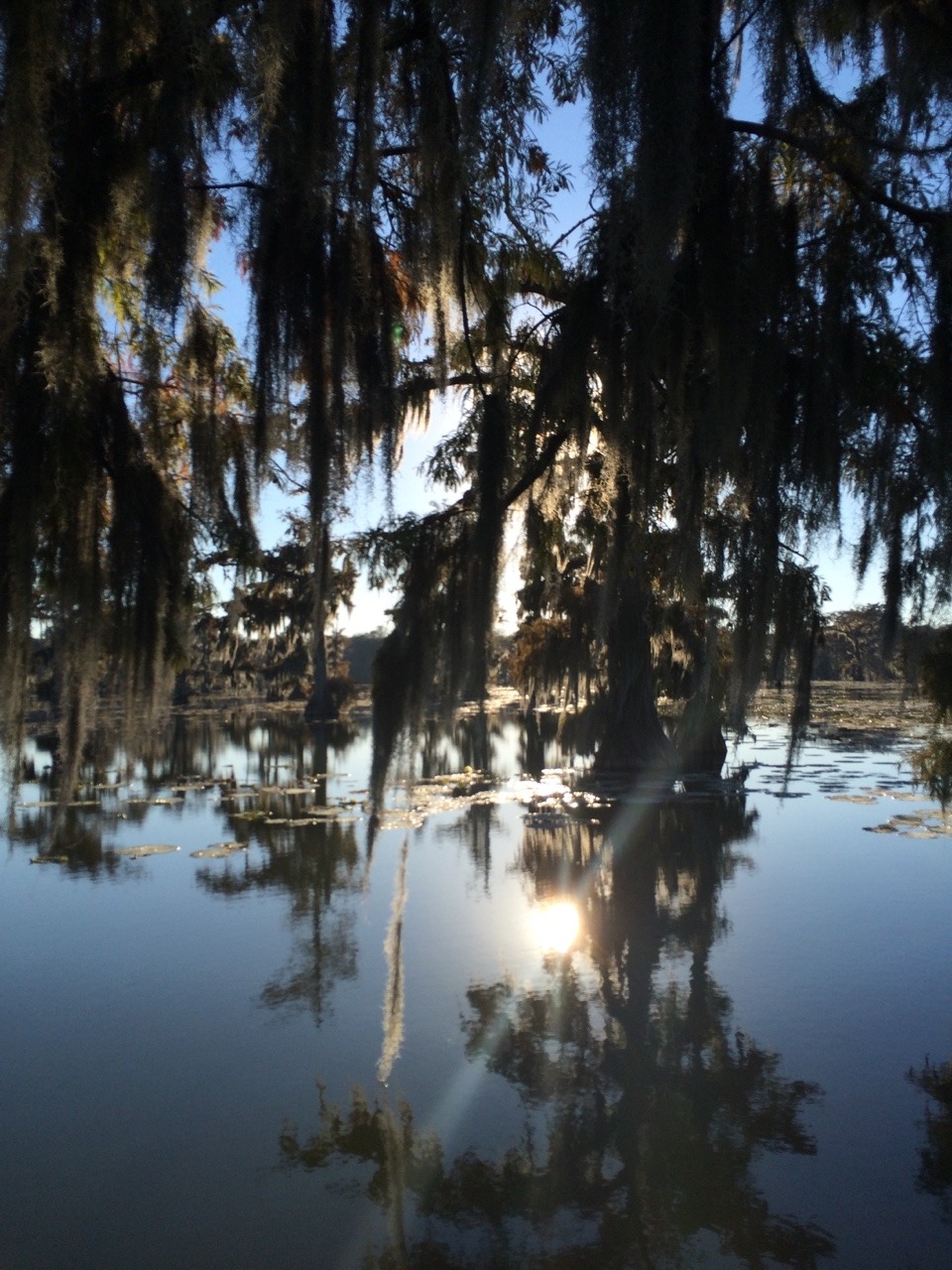 toherself:  Louisiana is beautiful