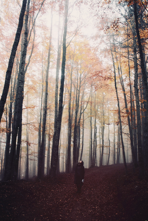 hellanne:  The Proudest Trees* (by OzMa*Fra) 