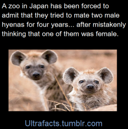 ultrafacts:     Source If you want more facts, follow Ultrafacts    