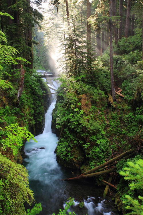 7000stars:Sol Duc falls, Olympic National park (by PIERRE LECLERC PHOTO)