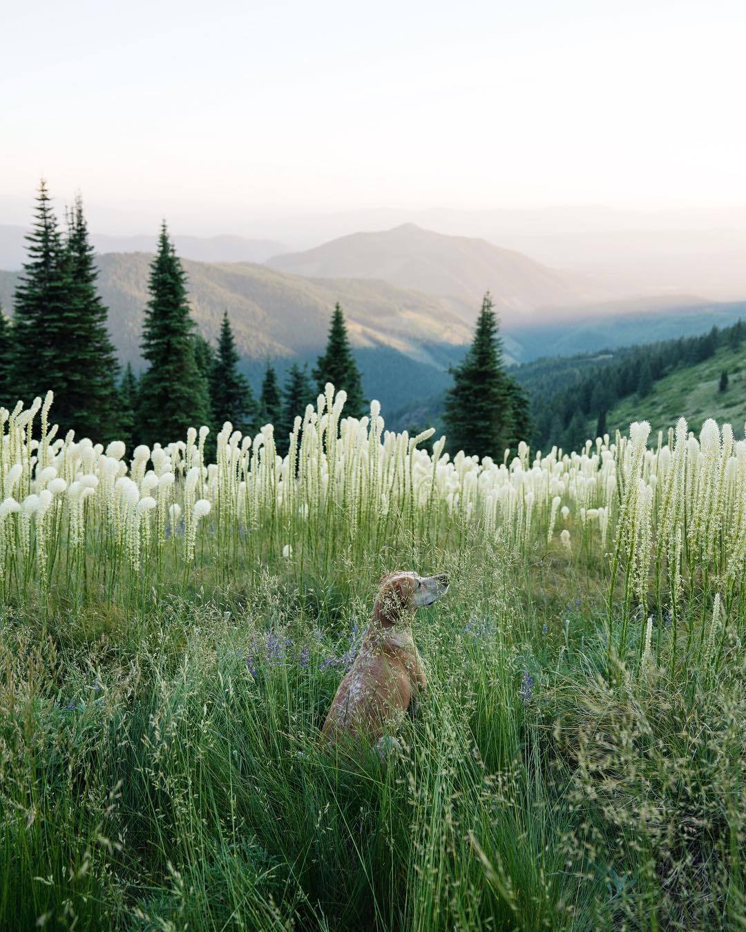 landscape-photo-graphy:Nomadic Photographer  Theron Humphrey Chronicles His Adventures