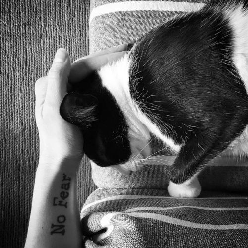 Me and you. #cat #ilovemycat #lovecats #nofear #home #Italy #Veneto #travel #sun #photographer #phot