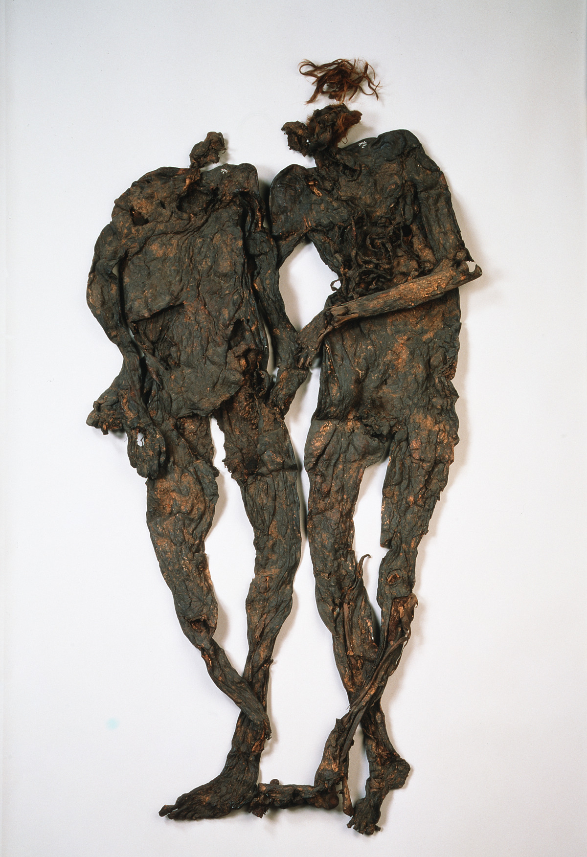 The Weerdinge Men, found in Drenthe, The Netherlands in 1904
Two of the best preserved bog bodies of the Netherlands were found laying together in the Bourtanger Moor by a peat-cutter in 1904. They are estimated to have died somewhere between 170 BC...