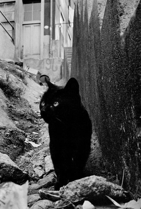 paolo-streito-1264: Sergio Larrain. Valparaiso, Chile, 1963. 