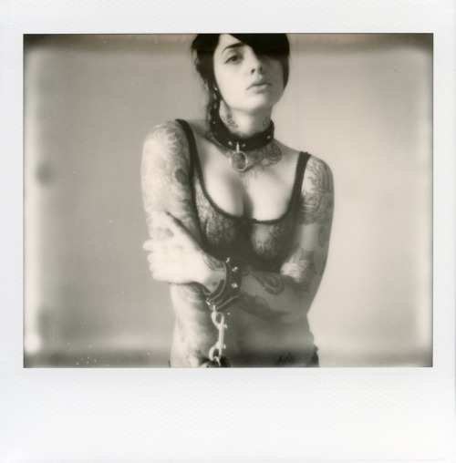 richburroughs:  Radeo  logicrovers / richburroughs