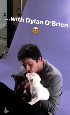 hale-dereks:  Hobrien + Snapchat Puppy Love