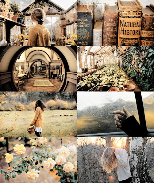 pvffskein:  hogwarts aesthetics - hufflepuff   gryffindor,  ravenclaw, slytherin 