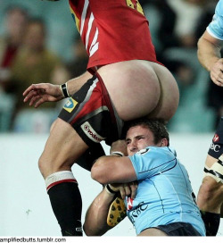 amplifiedbutts:  And this is why gay guys should subscribe to sports cable package. 