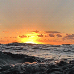 fluffygif:  ryanpernofski on ig