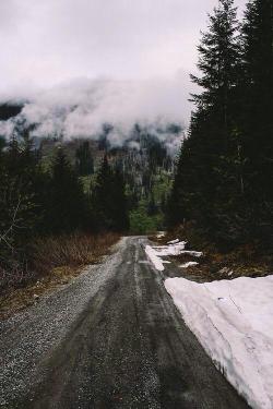 infectedbythevirus:  calms: nature/vintage