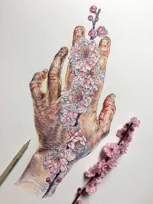 noelbadgespugh:blossom hands