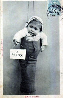 XXX Bébés à vendre. photo