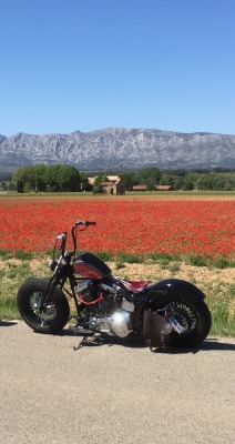 Harley Bobber Chopper