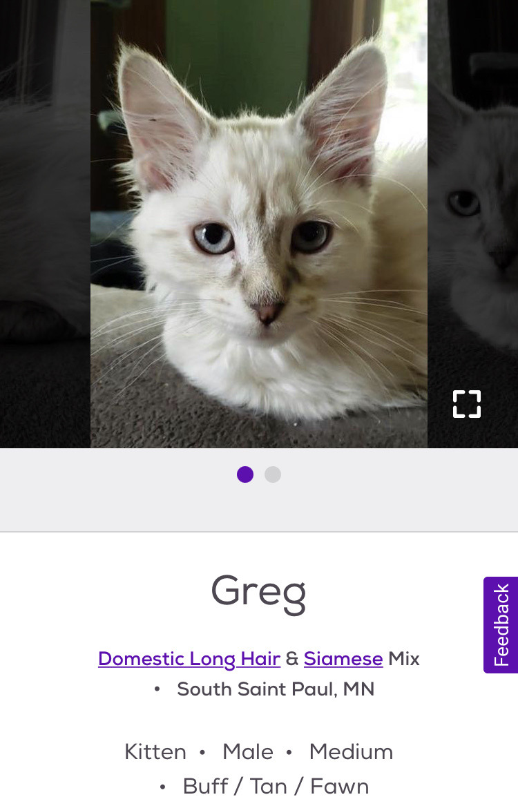  petfinder names On Tumblr