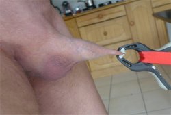 my clamped and stretched foreskin