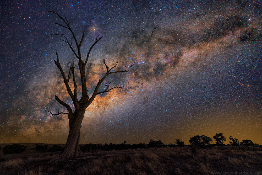 odditiesoflife:  Stars Become the Night Australian photographer Lincoln Harrison