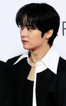 Lee Know @ Asia Artist Awards Red Carpet (231214)
