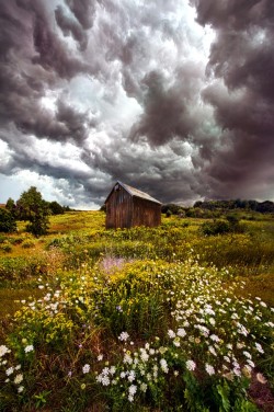 superbnature:  Storms of Bygone Summer Days by PhilKoch http://ift.tt/1zpwYMH