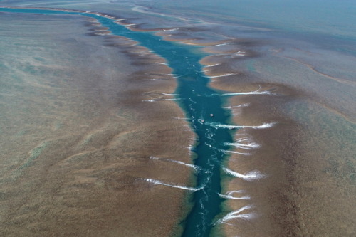 geologicaltravels:2018: Spectacular drone shots of Montgomery reef draining (contribution from Nicol