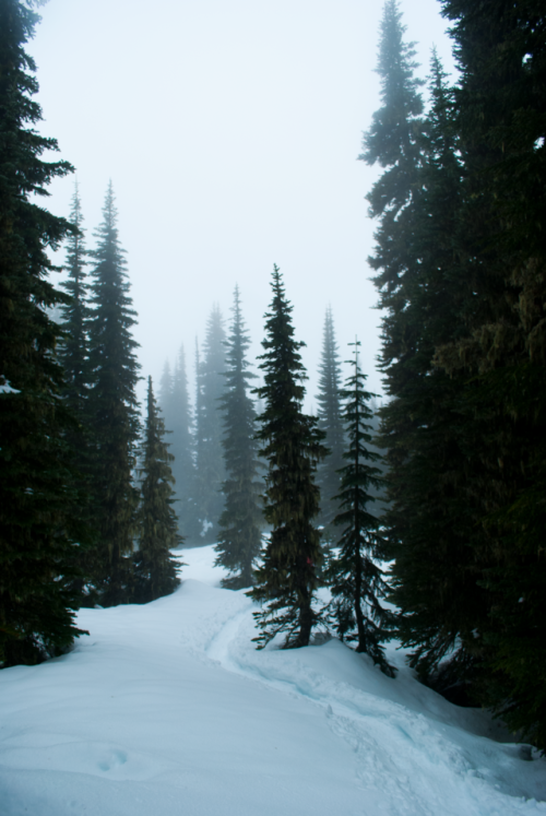 Mt. Rainier, WA