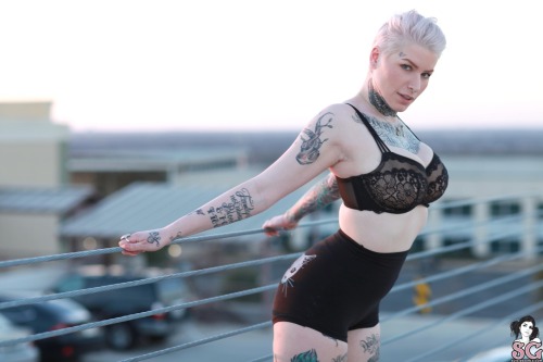 sglovexxx:  SG Hopeful Bunny_Harlow in Untitled