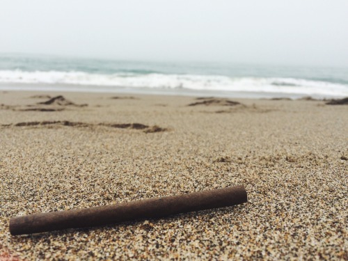 softsideofthemoon:  Beach blunts 