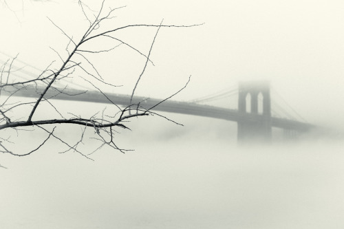 anthonynicholas:  RainRiseNYC 