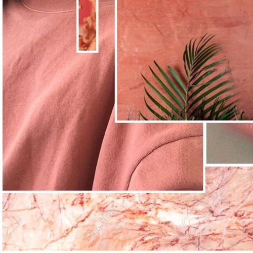 PEAKING PALM | • • • • • #Cotton #Palm #Marble #Coral #Website #ReLaunch #R